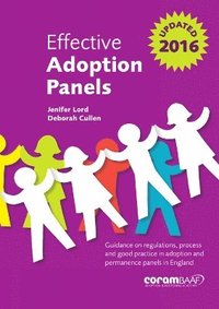 bokomslag Effective Adoption Panels
