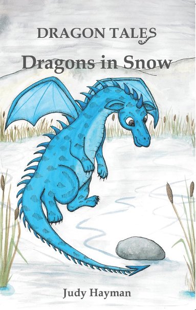 bokomslag Dragons in Snow