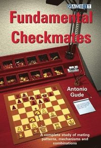 bokomslag Fundamental Checkmates