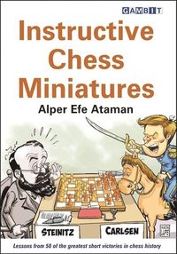 bokomslag Instructive Chess Miniatures