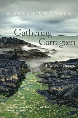 Gathering Carrageen 1