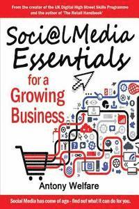 bokomslag Social Media Essentials for a Growing Business