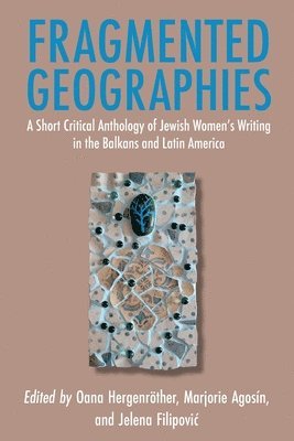 Oana Hergenröther - Fragmented Geographies, Häftad