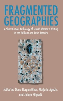 Oana Hergenröther, Marjorie Agosín, Jelena Filipovic - Fragmented Geographies, Inbunden