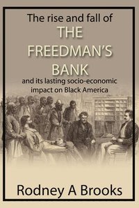 bokomslag The Rise and Fall of The Freedman's Bank