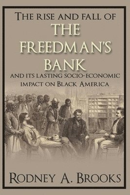 bokomslag The Rise and Fall of the Freedman's Savings Bank