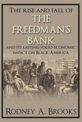 Rise and Fall of the Freedman's Savings Bank