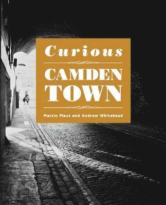 Martin Plaut - Curious Camden Town, Häftad