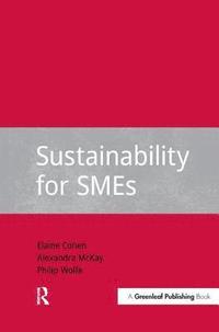bokomslag Sustainability for SMEs