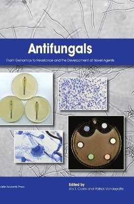 Antifungals 1