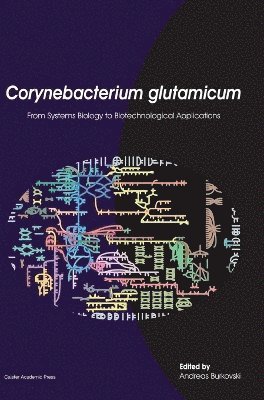 Corynebacterium Glutamicum 1