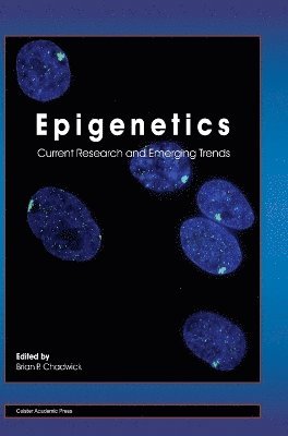 Brian P Chadwick - Epigenetics, Inbunden
