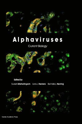 Suresh Mahalingam - Alphaviruses, Inbunden