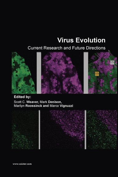 Scott C. Weaver, Marilyn Roossinck, Mark Denison - Virus Evolution, Häftad