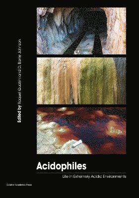 Raquel Quatrini, D. Barrie Johnson, D Barrie Johnson - Acidophiles, Häftad