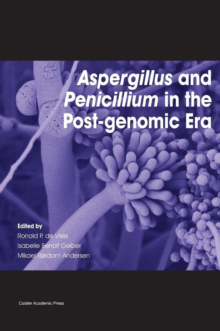 Isabelle Benoit Gelber, Mikael Rordam Andersen, Ronald P. De Vries, Ronald P de Vries, Mikael Rørdam Andersen - Aspergillus and Penicillium in the Post-Genomic Era, Häftad