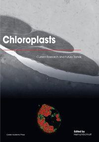 bokomslag Chloroplasts