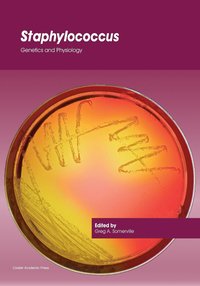 bokomslag Staphylococcus