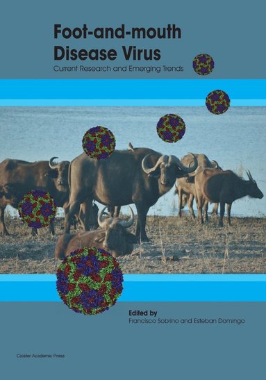 Francisco Sobrino, Esteban Domingo - Foot and Mouth Disease Virus, Häftad