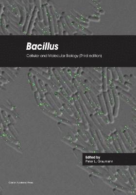 Bacillus: Cellular and Molecular Biology 1