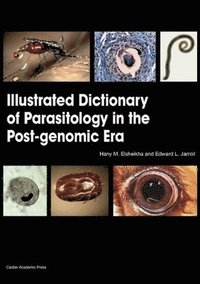 bokomslag Illustrated Dictionary of Parasitology in the Post-Genomic Era