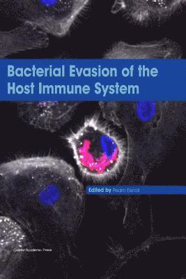 bokomslag Bacterial Evasion of the Host Immune System