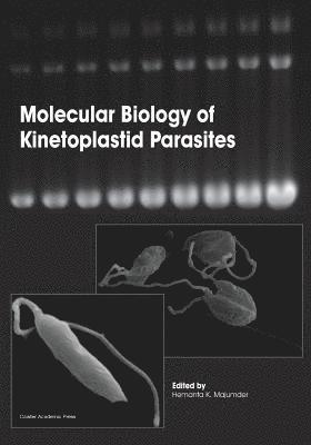 Hemanta K. Majumder, Hemanta K Majumder - Molecular Biology of Kinetoplastid Parasites, Häftad