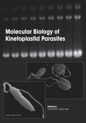 Molecular Biology of Kinetoplastid Parasites 1