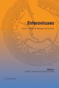 bokomslag Enteroviruses