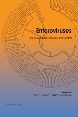 William T. Jackson, Carolyn B. Coyne - Enteroviruses: Omics, Molecular Biology, and Control, Häftad