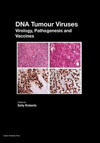 bokomslag DNA Tumour Viruses