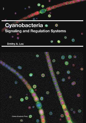 bokomslag Cyanobacteria