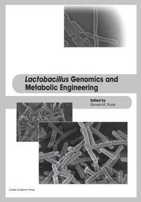 bokomslag Lactobacillus Genomics and Metabolic Engineering