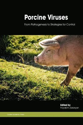 bokomslag Porcine Viruses