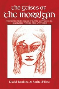 bokomslag Guises of the Morrigan
