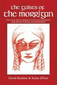 bokomslag The Guises of the Morrigan