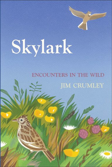 bokomslag Skylark