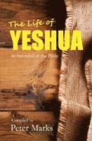 bokomslag The Life of Yeshua