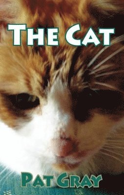 Cat 1