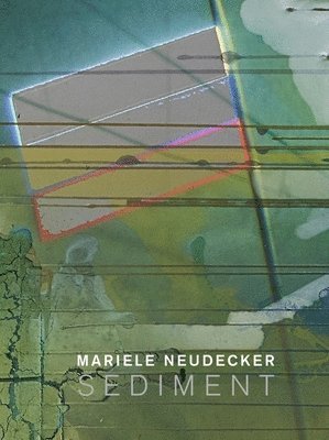 bokomslag Mariele Neudecker - Sediment