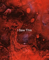 bokomslag Tom de Freston - I Saw This