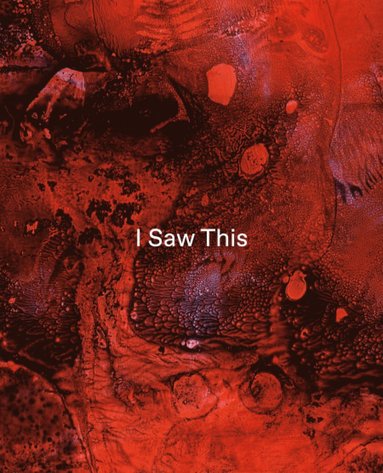 bokomslag Tom de Freston - I Saw This