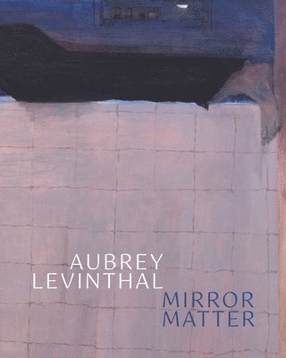 bokomslag Aubrey Levinthal - Mirror Matter