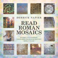 bokomslag Read Roman Mosaics