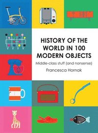 bokomslag History of the World in 100 Modern Objects