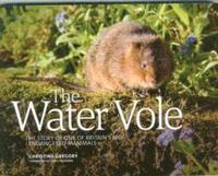 bokomslag The Water Vole