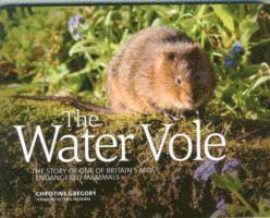 bokomslag The Water Vole