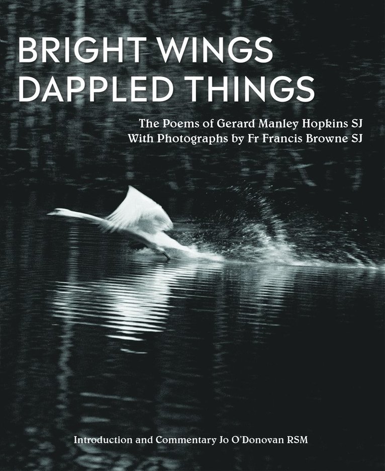 Gerard Manley Hopkins, Jo O'Donovan - Bright Wings, Dappled Things, Inbunden