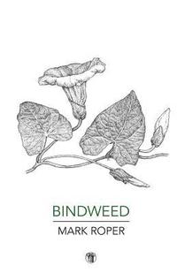 bokomslag Bindweed