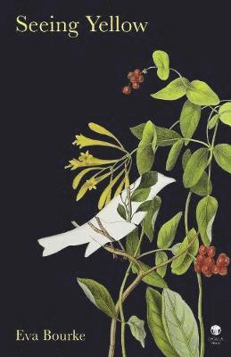 Eva Bourke - Seeing Yellow, Häftad